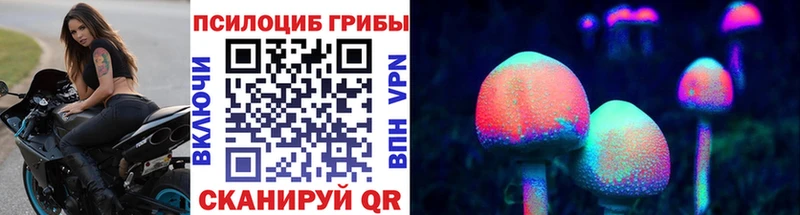 Купить где  Сысерть  Галлюциногенные грибы GOLDEN TEACHER 
